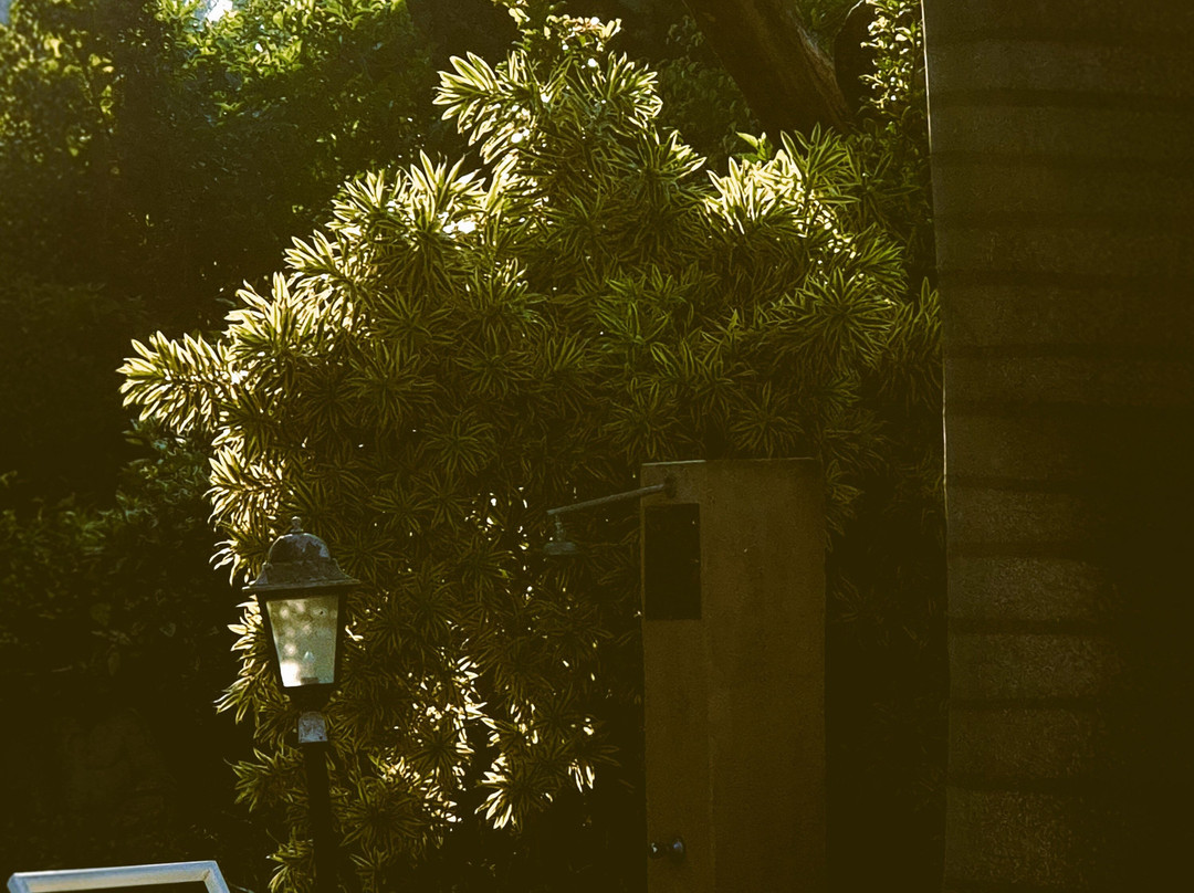 Petite Provence B&b主图