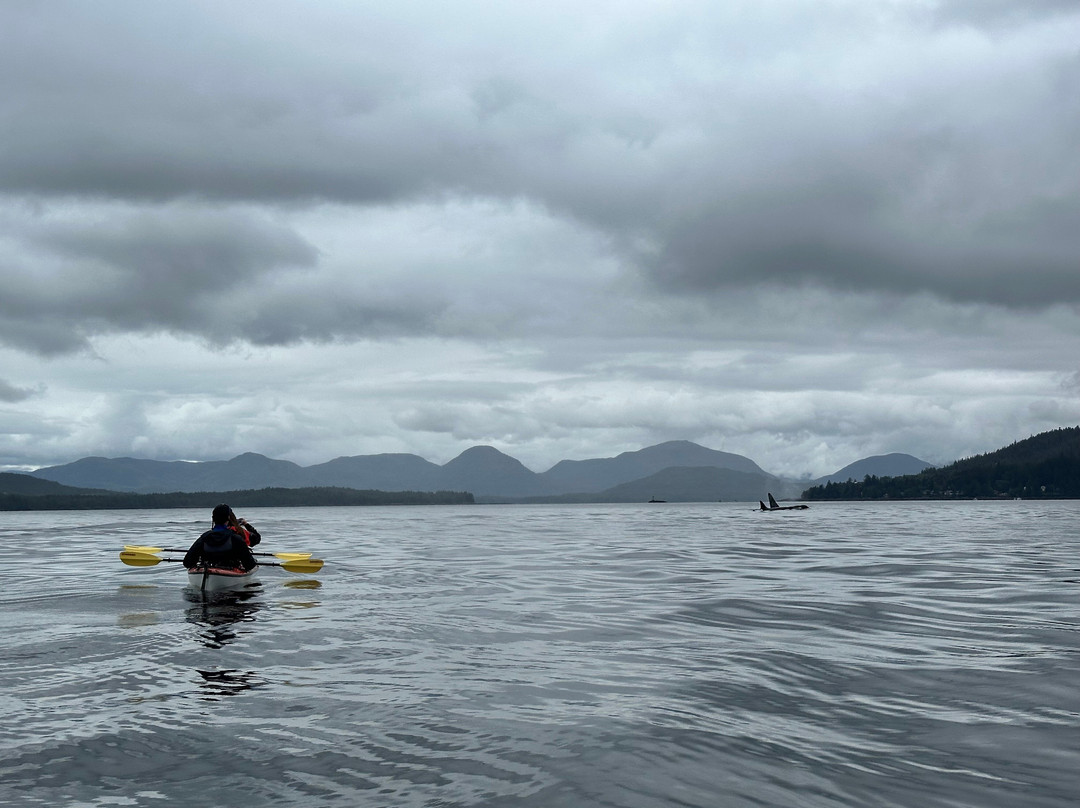 Ketchikan Kayak Company-凯奇坎必去景点