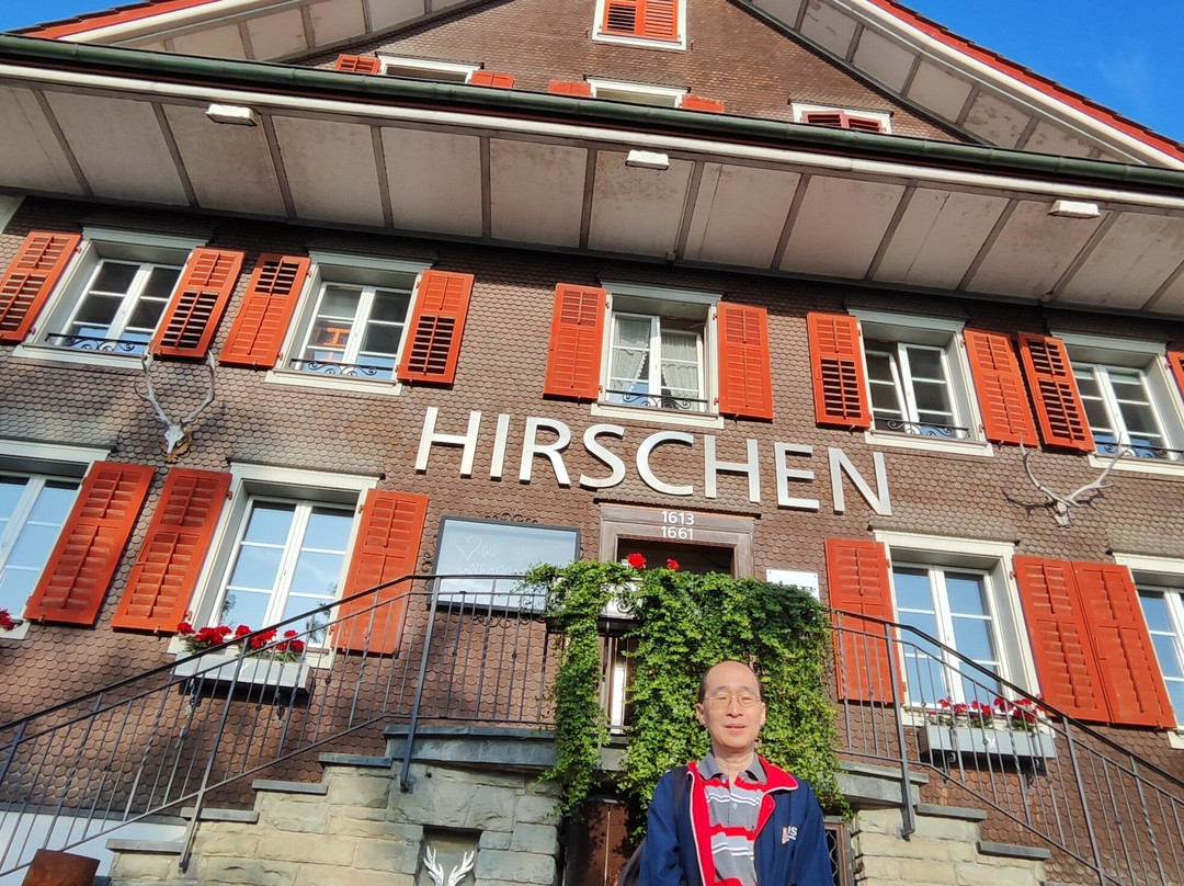 Hirschen Oberkirch Design Boutique Hotel主图