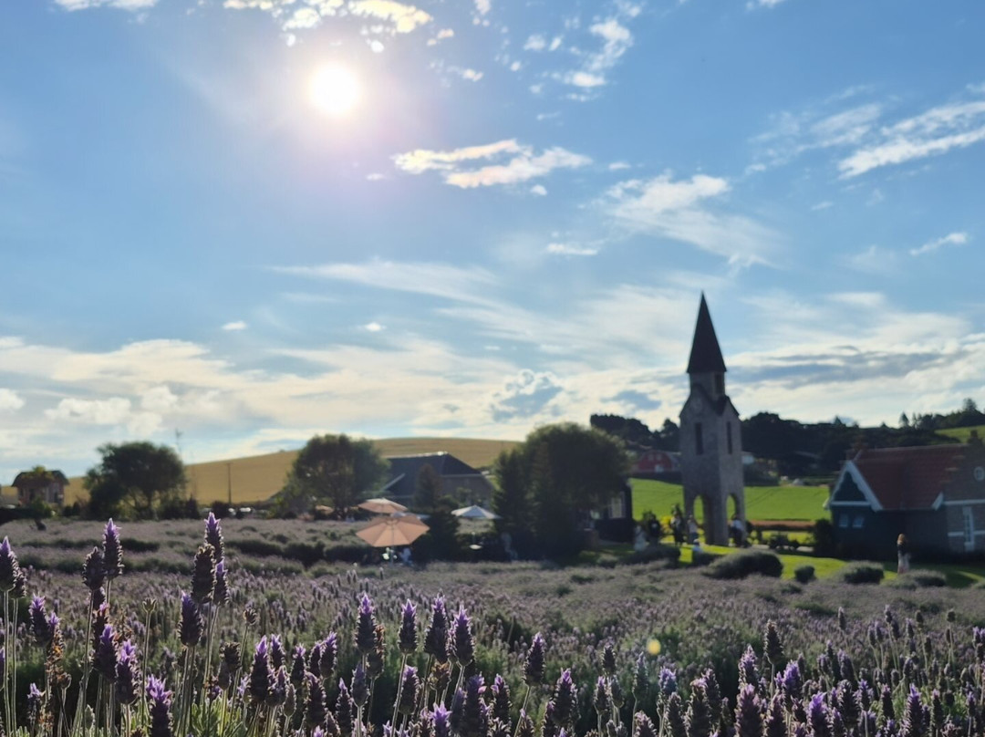 Het Dorp Vilarejo Holandês-Carambei必去景点