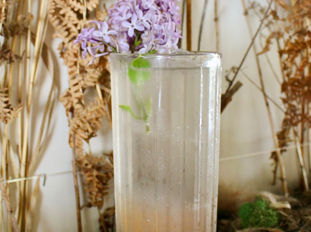 Ida Graves Distillery-Alexandria必去景点