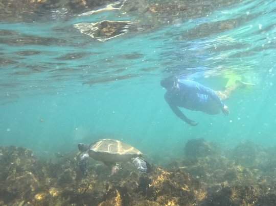 Divertriptour-阿拉伊阿尔港必去景点