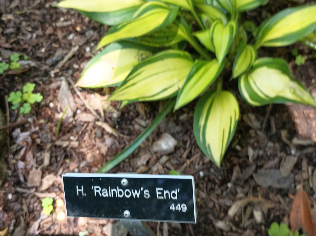 Skylands New Jersey Botanical Gardens-Ringwood必去景点