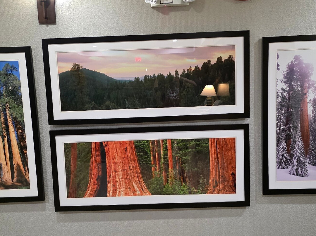 维萨利亚希尔顿恒庭酒店主图