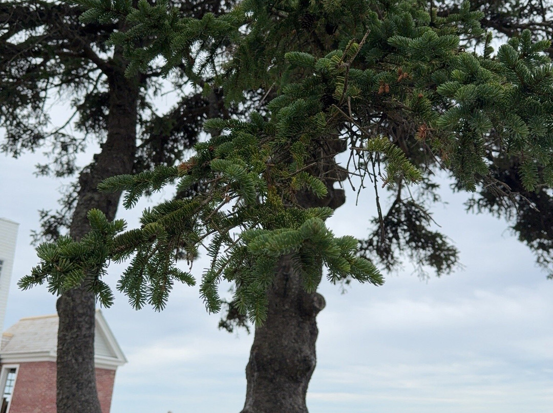 Pemaquid Point Lighthouse-New Harbor必去景点