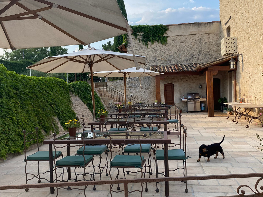 Domaine De La Tour D'Enguernes主图