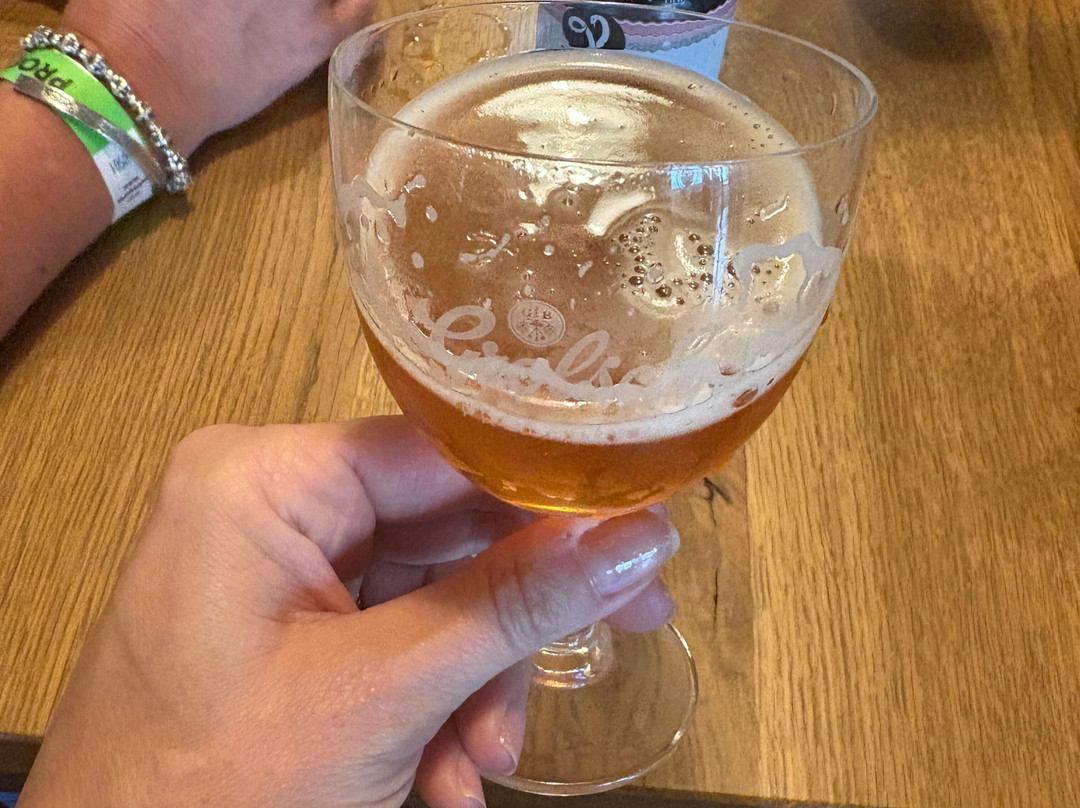 Grolsch Brouwerij Tour-恩斯赫德必去景点