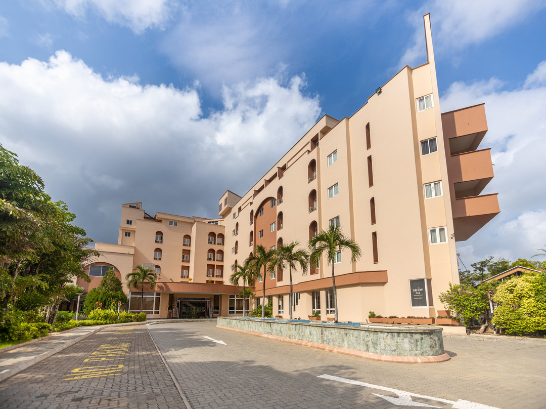 The African Regent Hotel主图