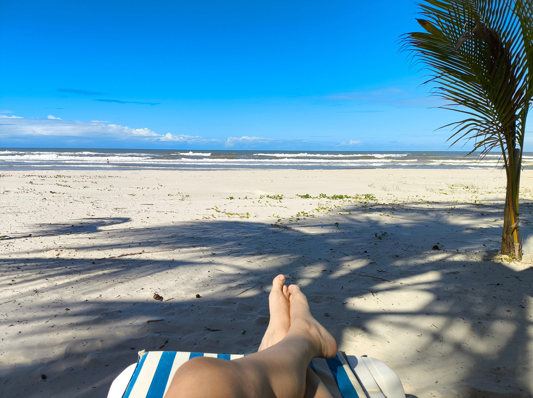 Ilheus North Residence主图