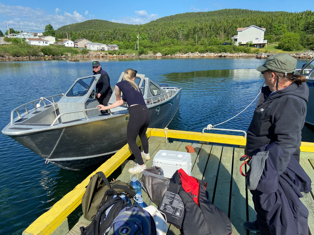 Hare Bay Adventures-Hare Bay必去景点
