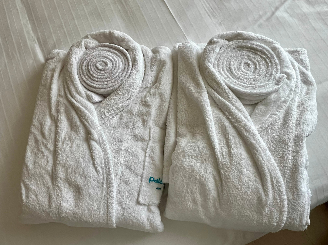 Palazzo Gatto Art Hotel & Spa主图