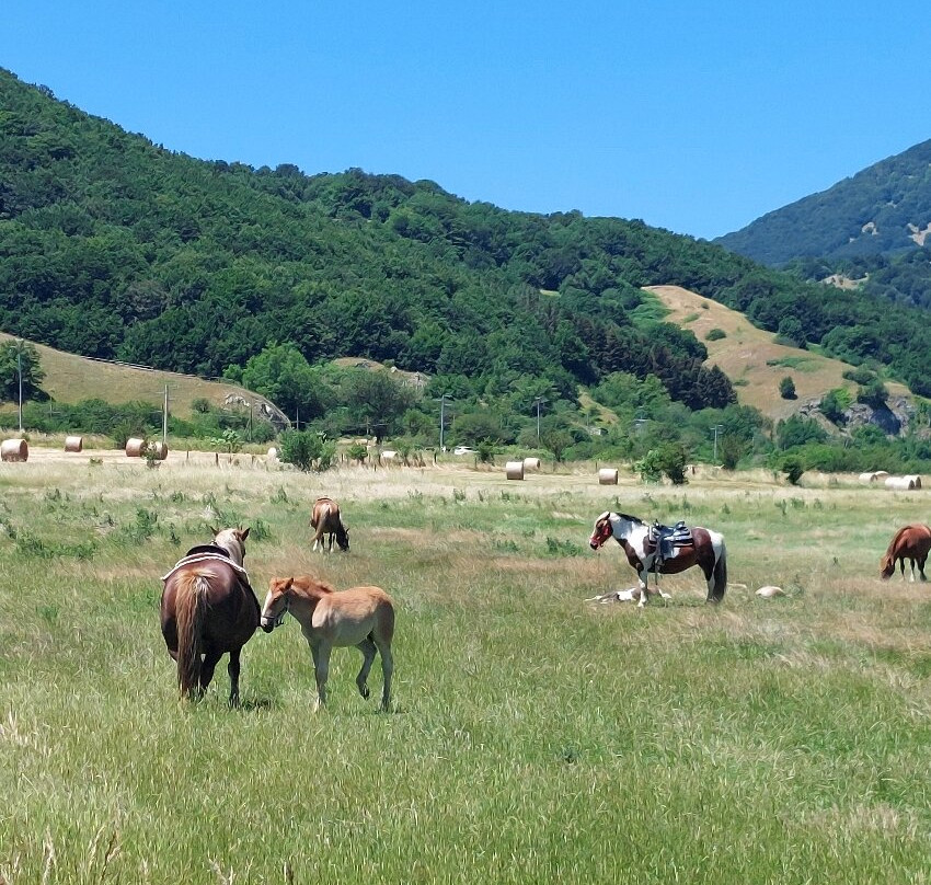 Matese Lake-San Gregorio Matese必去景点