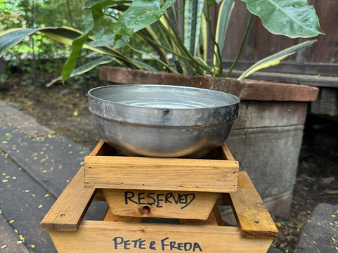 Acacia Village主图