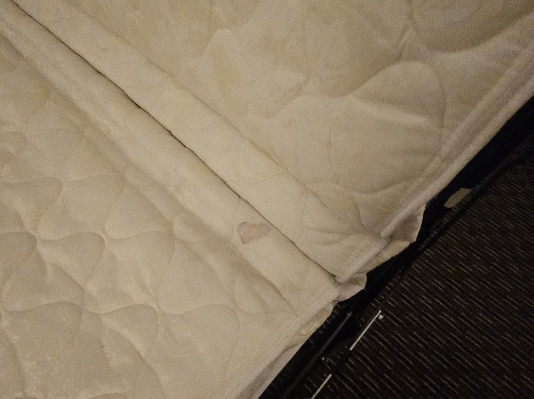 La Quinta Inn & Suites by Wyndham Pueblo主图