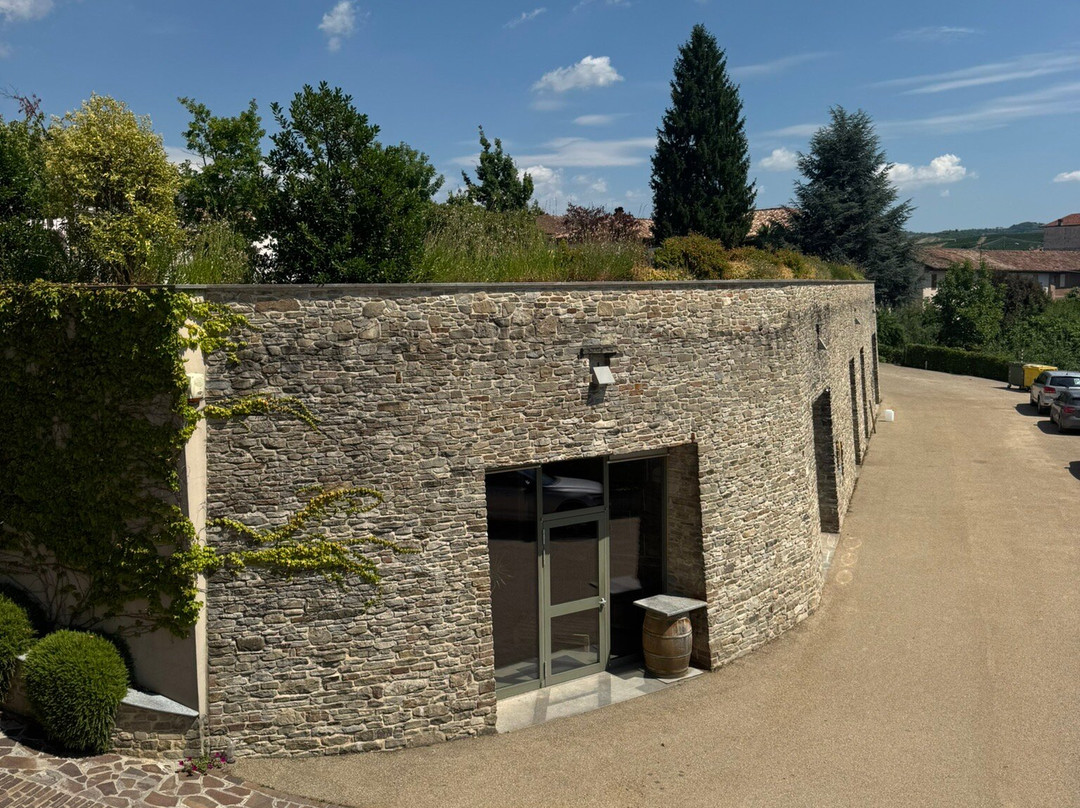 Massolino Winery-塞拉伦加达尔巴必去景点