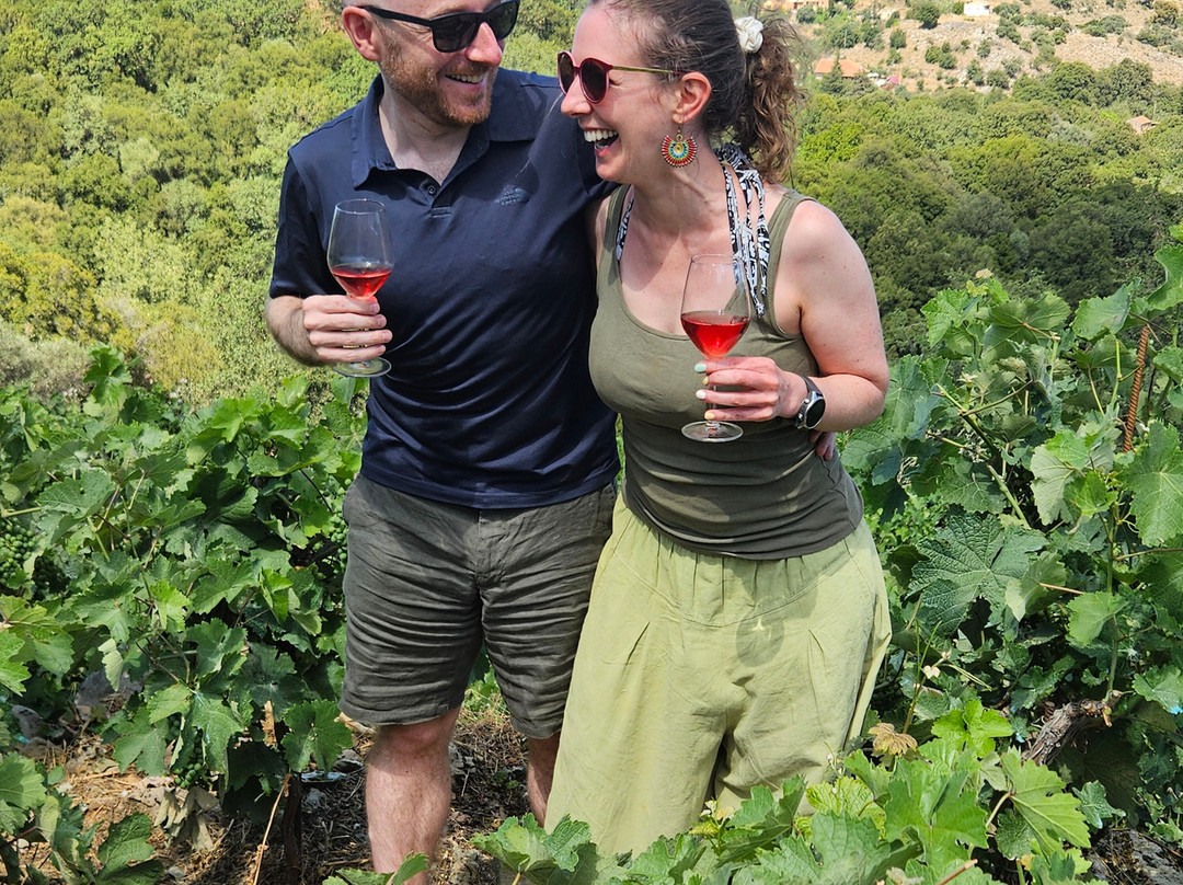 Chania Wine Tours-干尼亚必去景点