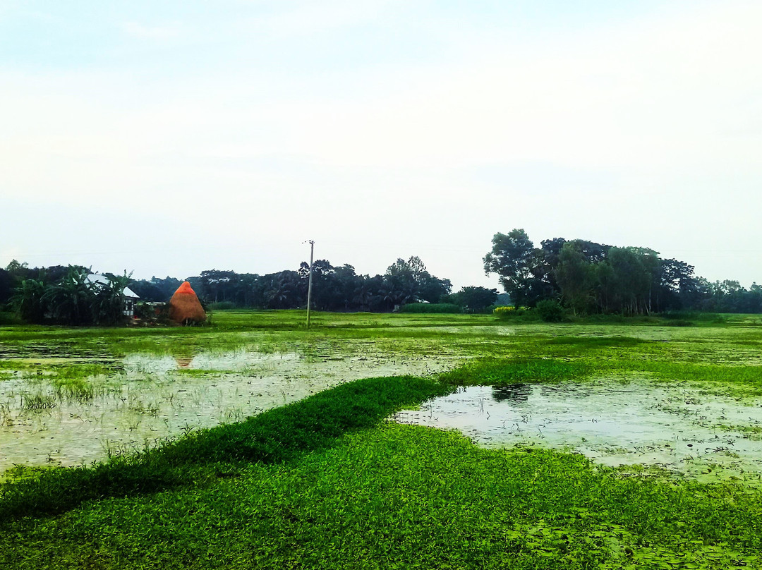 Barisal Waterland-Barisal City必去景点