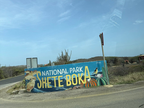 Gone Caribe-威廉斯塔德必去景点