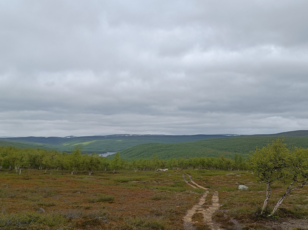 Travel Utsjoki-Utsjoki必去景点