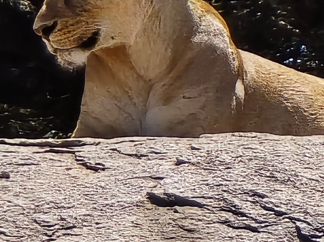 Activentures Africa Safaris-坎帕拉必去景点