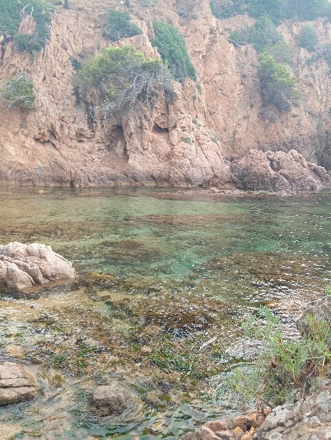 Cala Estreta-Palamos必去景点