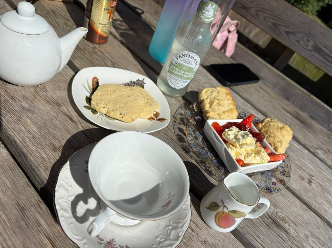 Cornish Lavender-佩伦波思必去景点