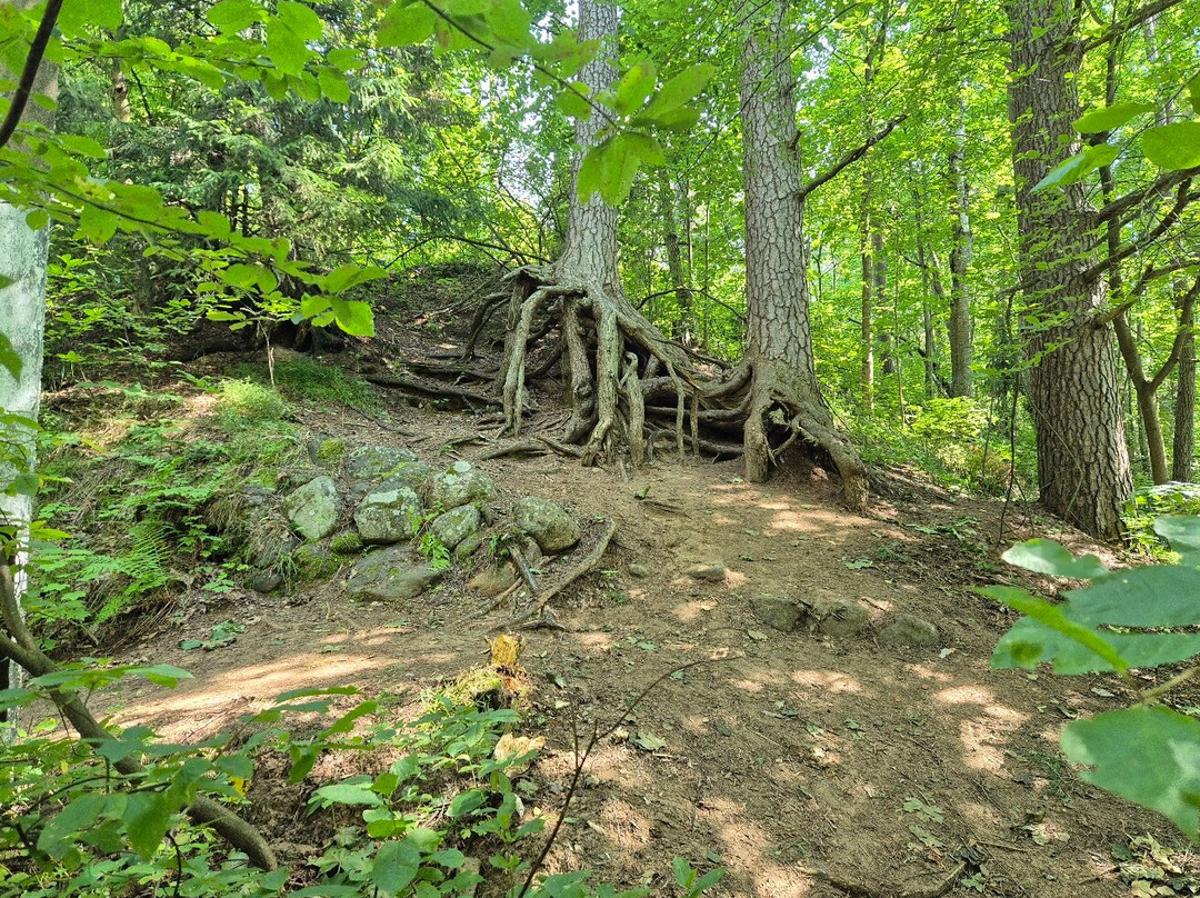 Natural Sanctuary Komarovskiy Bereg-Komarovo必去景点