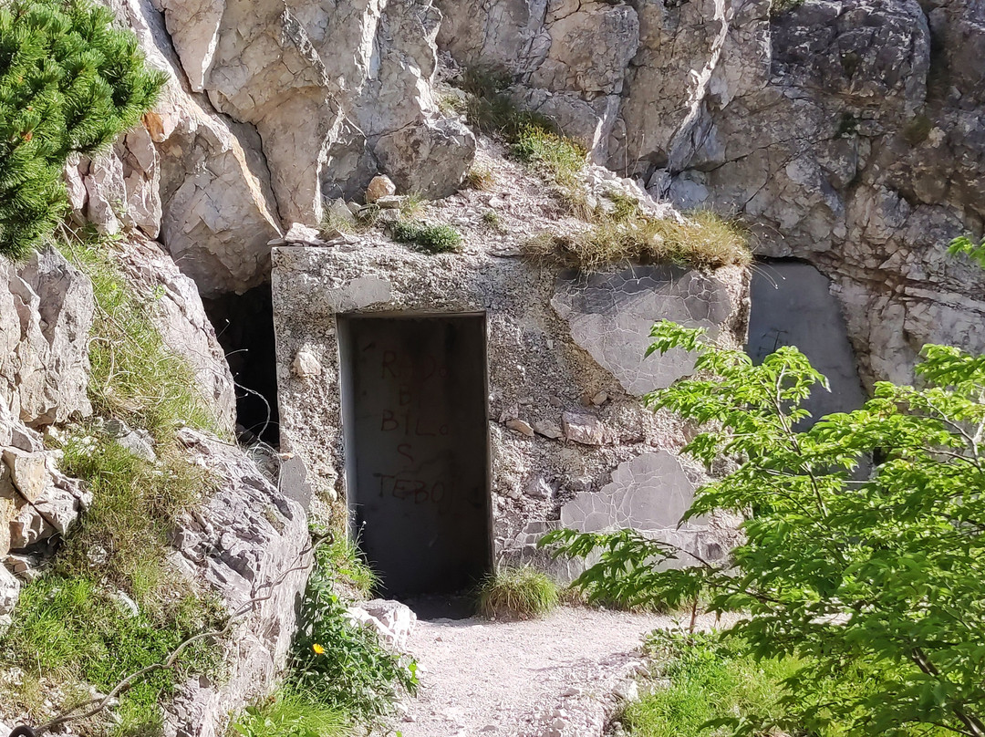 Born Path