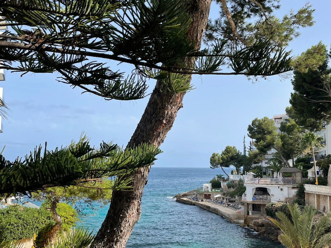 Hotel BonSol Resort & Spa主图