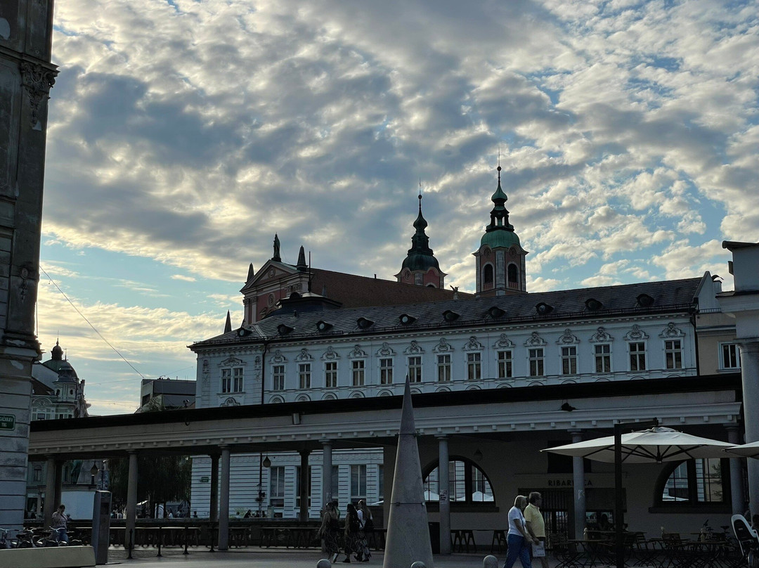 Koželj Wines Ljubljana