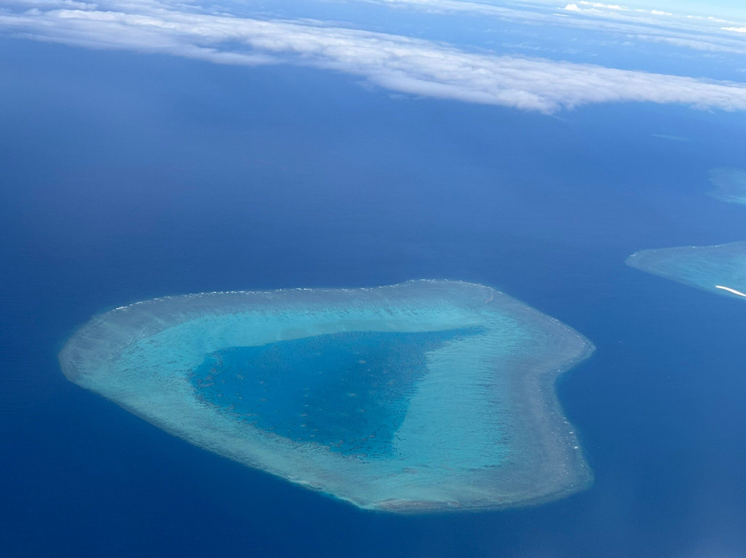 Daintree Air Services-凯恩斯必去景点