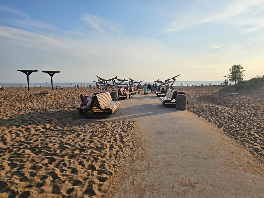 Beach Laskovy-圣彼得堡必去景点