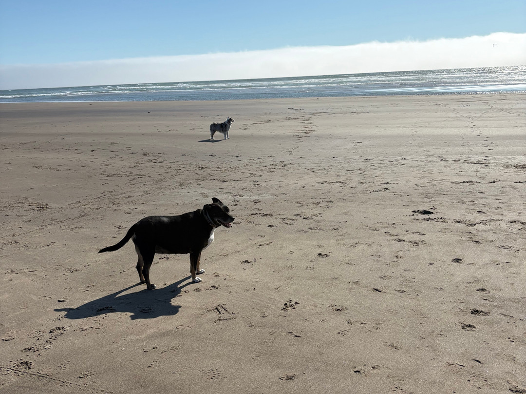 Ocean Inn at Manzanita主图