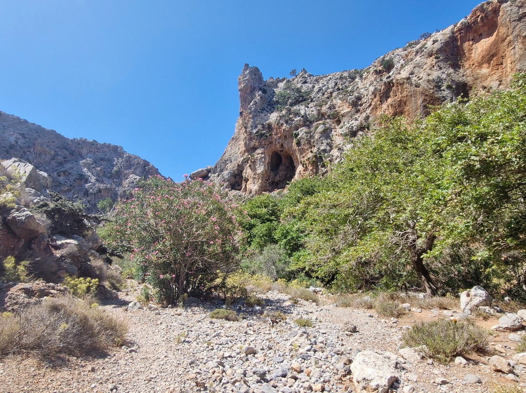 Gorge of the Dead-Kato Zakros必去景点