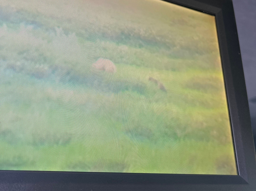 Tundra Wilderness Tour-Denali Park必去景点