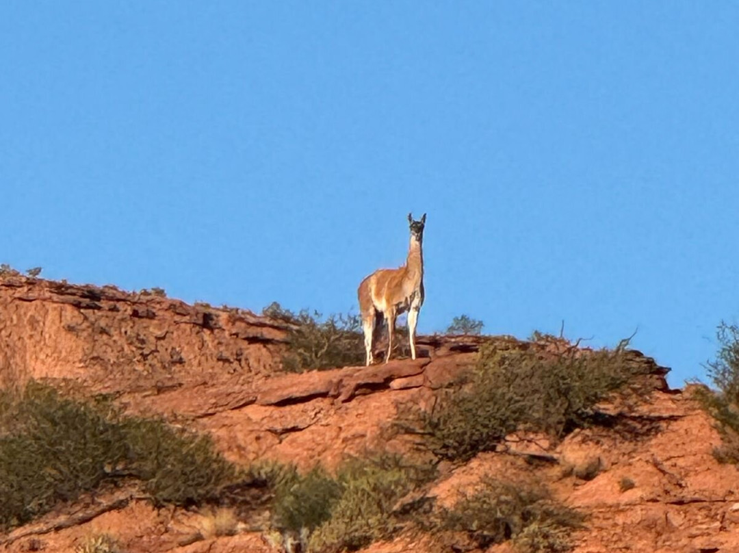 Parque Nacional Sierra De Las Quijadas-San Luis必去景点