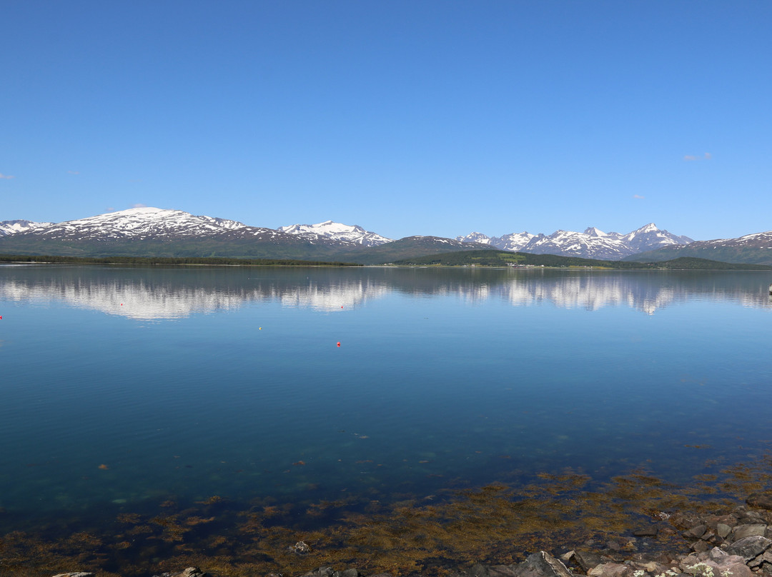 Tromsø Telegrafbukta-特罗姆瑟必去景点