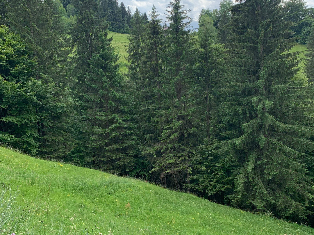 Manastirea Bran-Simon必去景点