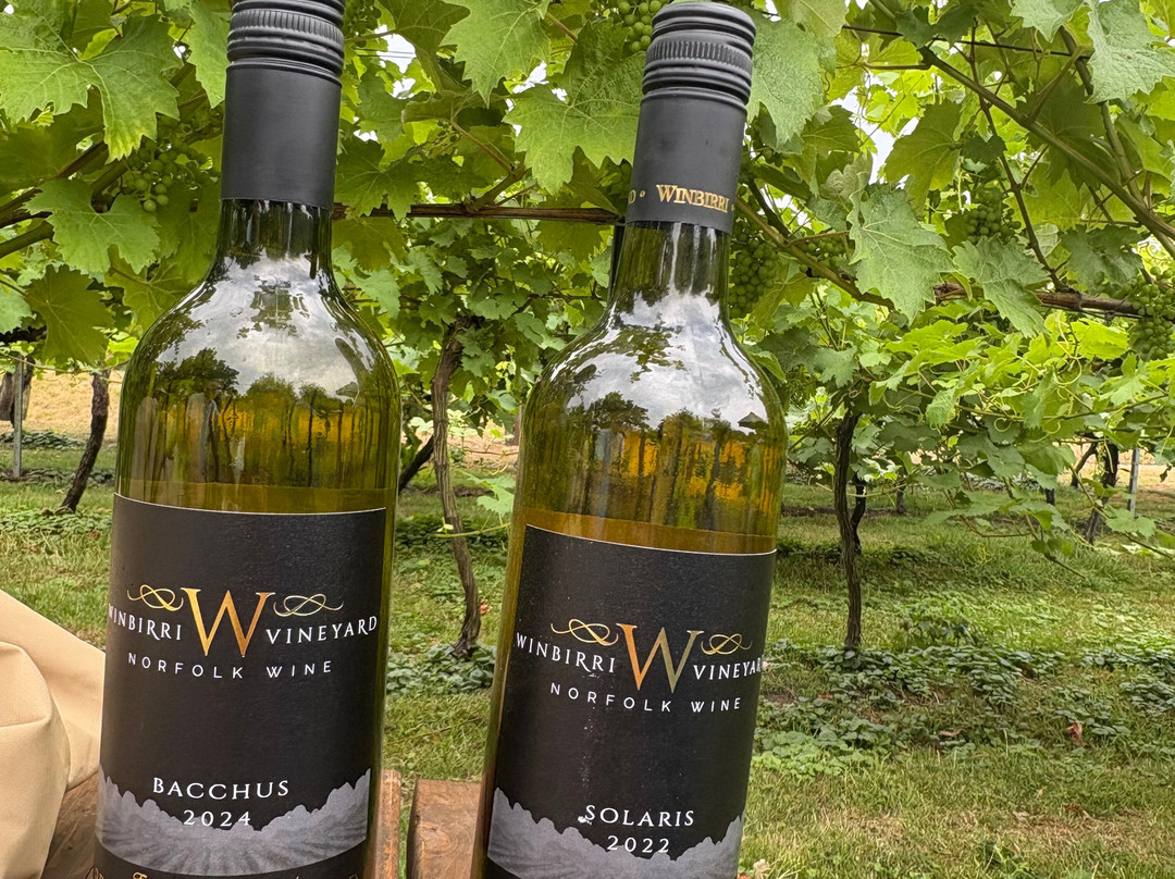 Winbirri Vineyards-诺威奇必去景点