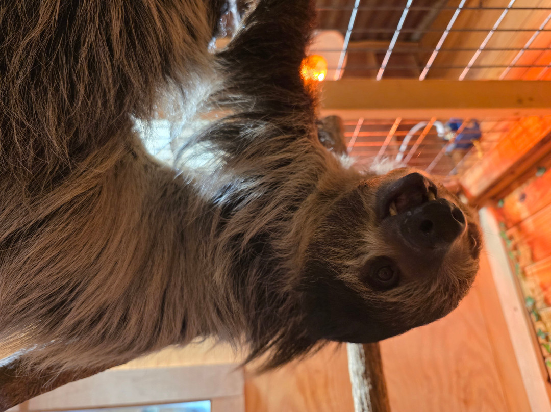 East Texas Gators and Wildlife Park-Grand Saline必去景点