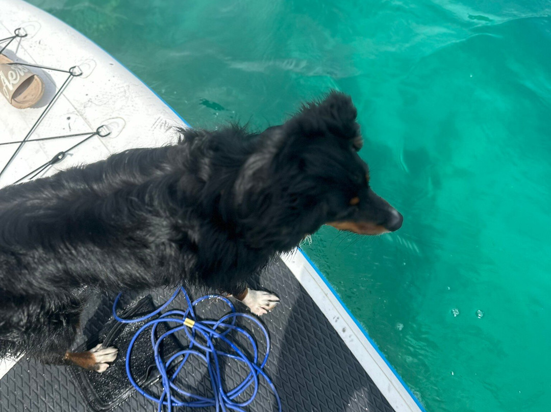 Kentucky Alleyne Provincial Park-Forest Grove必去景点