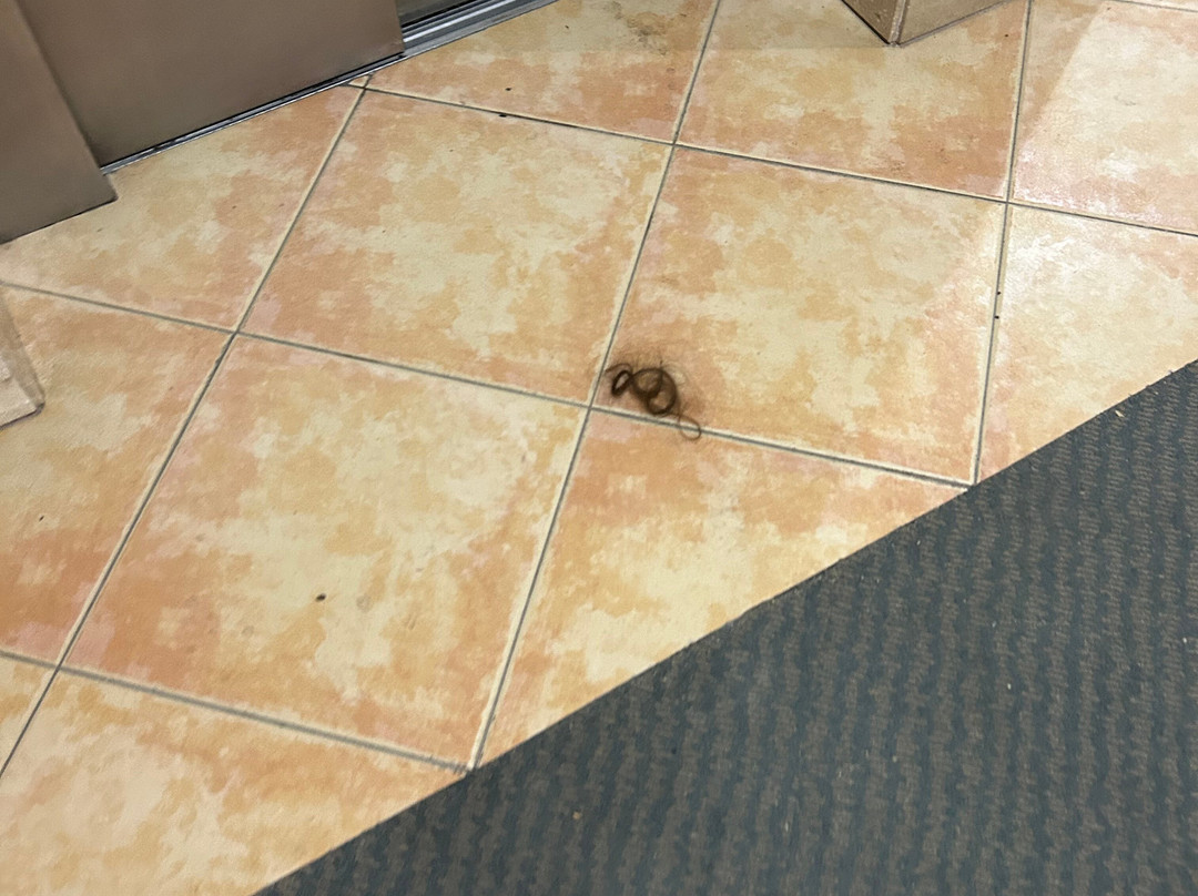 罗萨玛尔公寓式酒店主图