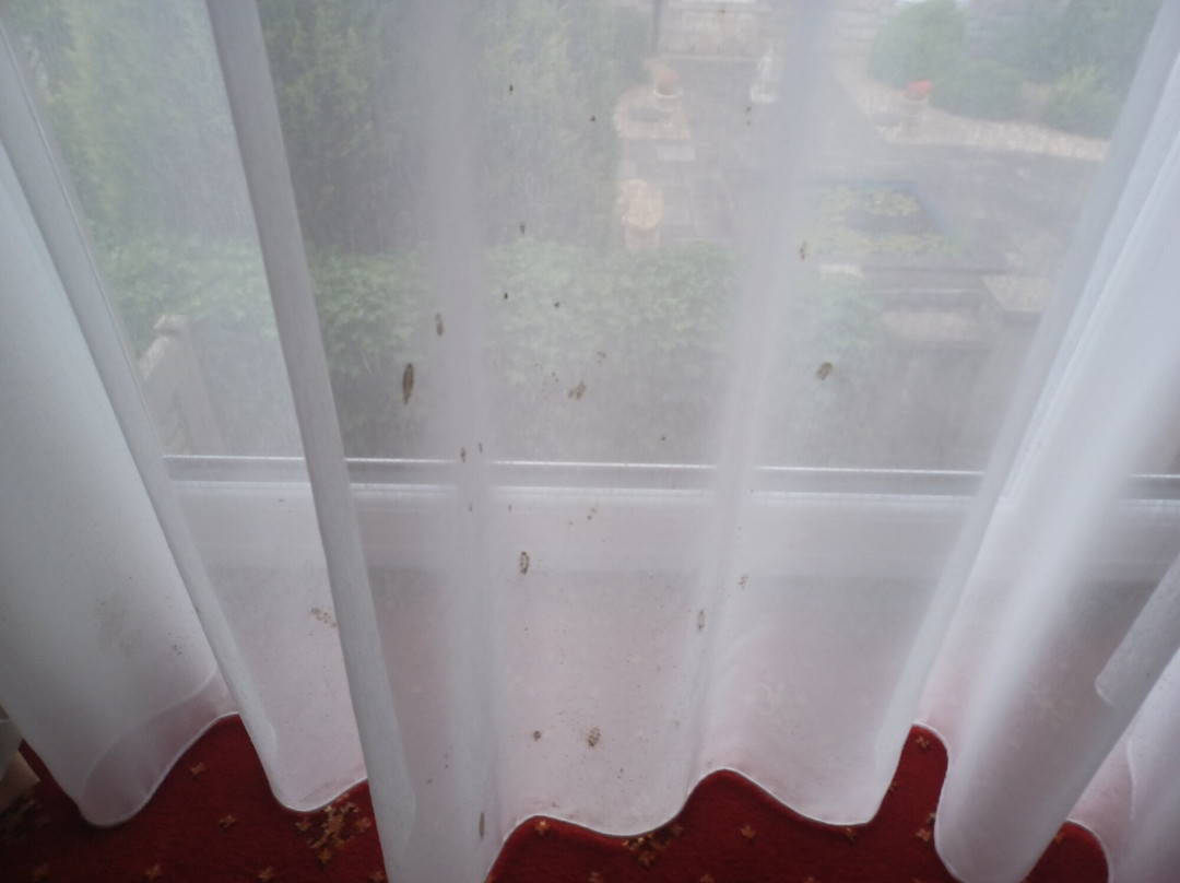 Tre-Ysgawen Hall and Spa主图