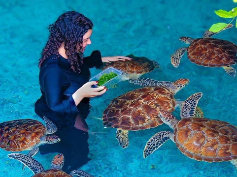 Zanzibar Alibaba Tours-桑给巴尔岛必去景点