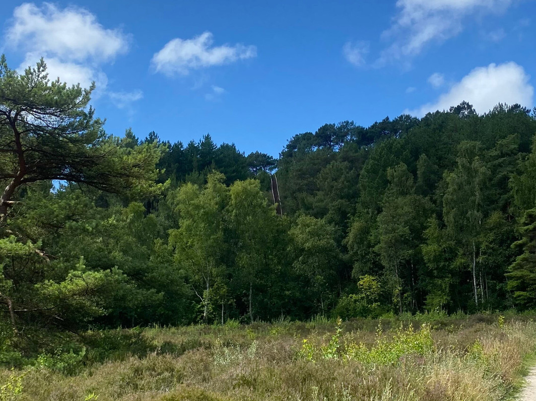 Klimduin-Schoorl必去景点