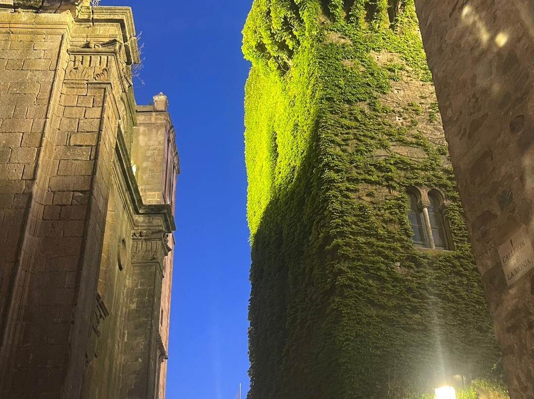 Pasearte Cáceres-卡塞雷斯必去景点