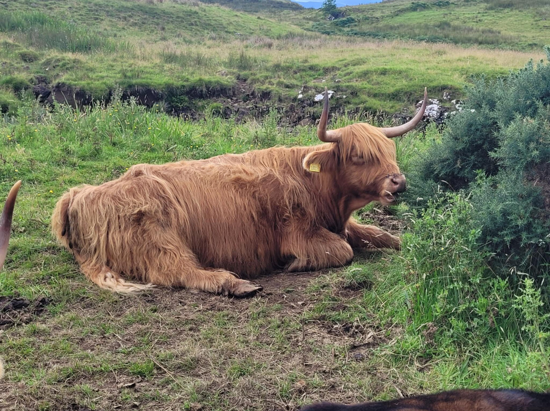Skye Local Tours-Broadford必去景点
