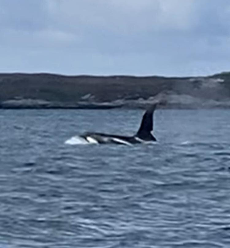 Tiree Sea Tours-Isle of Tiree必去景点