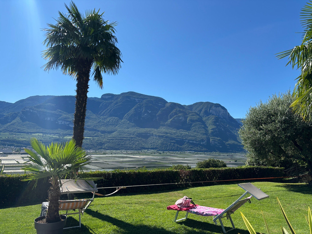 Garni Hotel Ritterhof主图