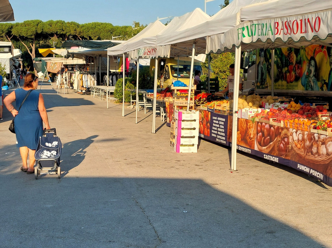 Mercato Settimanale Parco Centrale-福洛尼卡必去景点